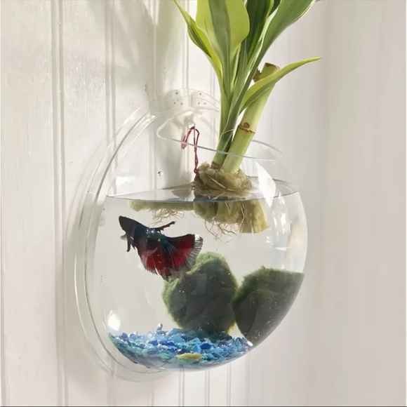 ❗️SOLD❗️2 (TWO) Wall-mounted Decorative Set, Hydroponic Plant Transparent - Picture 11 of 16